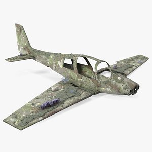 Airplane Wreckage from the Seabed