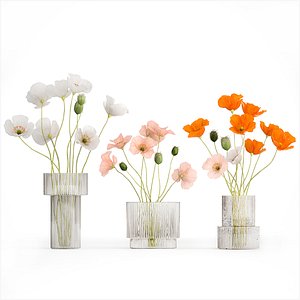 3D Bouquets of wildflowers with poppy in a glass vase 400 model