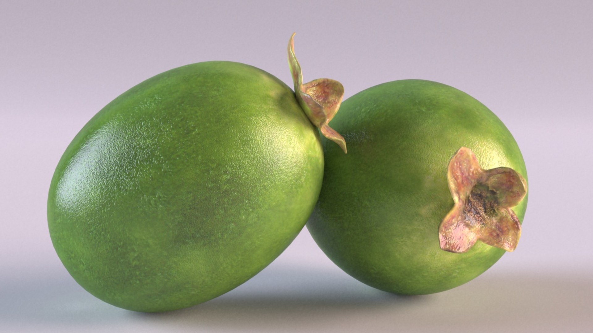 3D feijoa berry kiwi model - TurboSquid 1658869