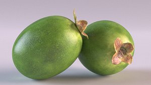 3D feijoa berry kiwi model