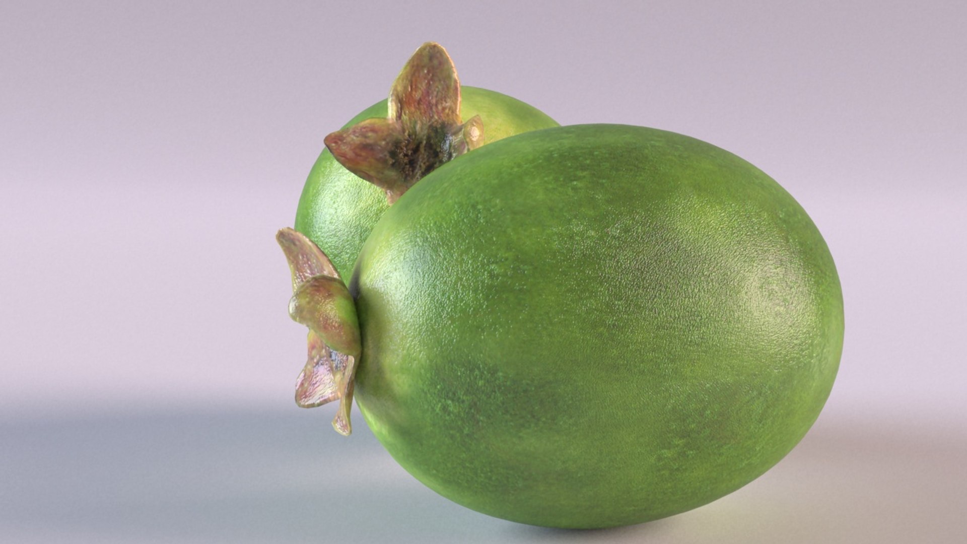 3D feijoa berry kiwi model - TurboSquid 1658869