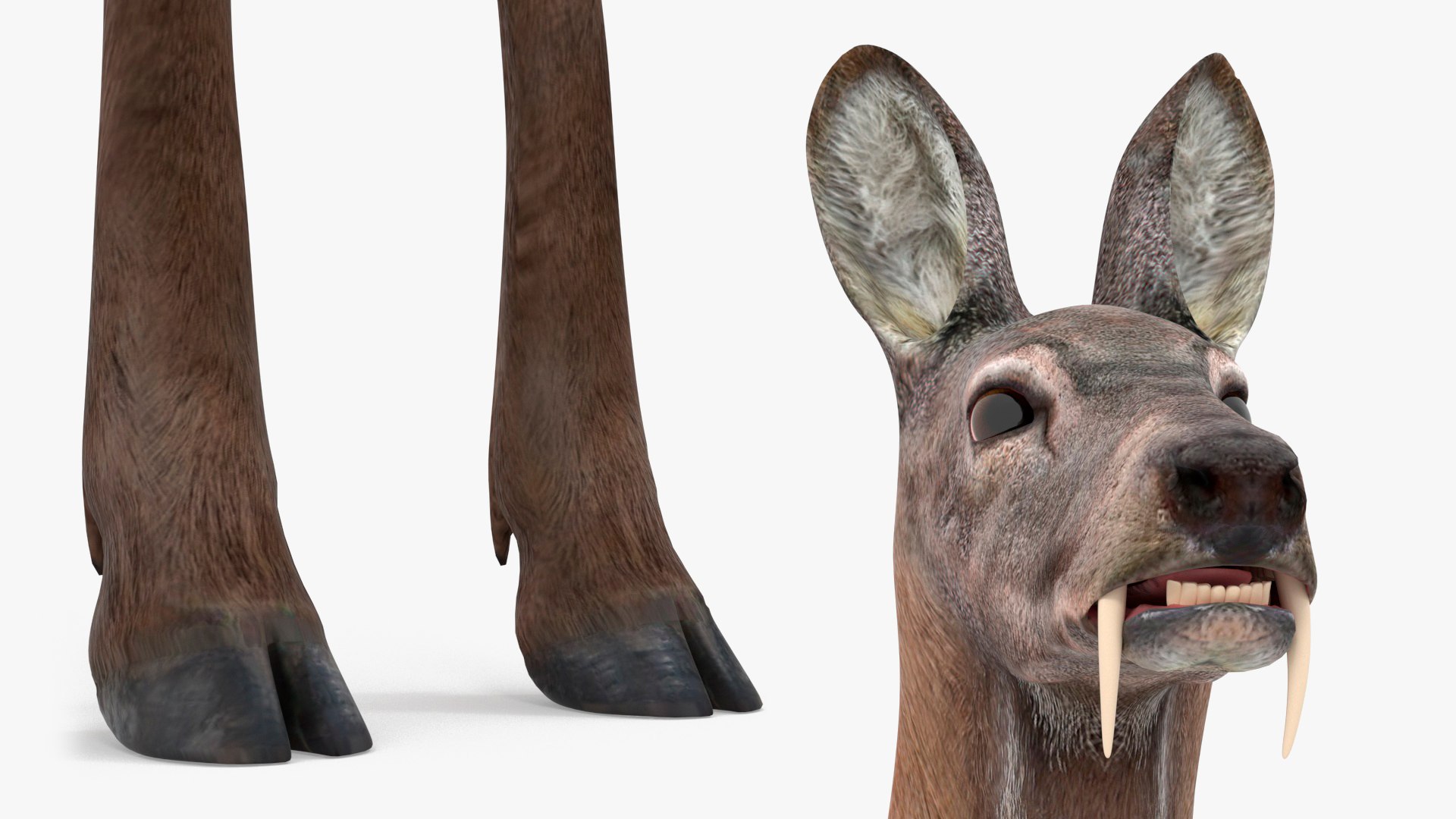 Moschus Moschiferus 3D model - TurboSquid 2181282