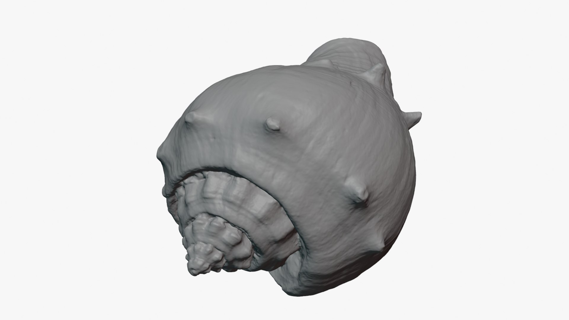 Crown Conch - For 3D Print model https://p.turbosquid.com/ts-thumb/36/pBqLWK/1l/crownconch_0008/png/1782984001/1920x1080/fit_q87/4896099080b110304a8eddf5032feada7cedaf25/crownconch_0008.jpg