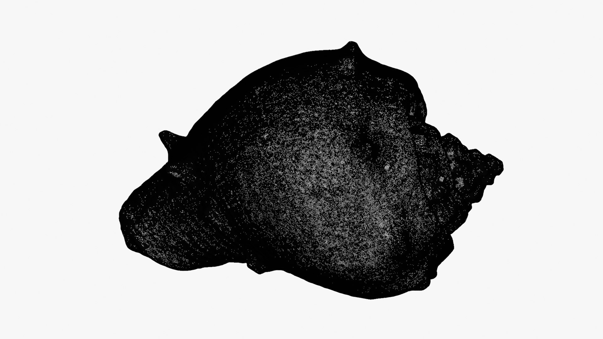 Crown Conch - For 3D Print model https://p.turbosquid.com/ts-thumb/36/pBqLWK/Fu/crownconch_d0007/png/1782984006/1920x1080/fit_q87/37c53999b1d1efcafeb13005ee21eca85d7d9855/crownconch_d0007.jpg