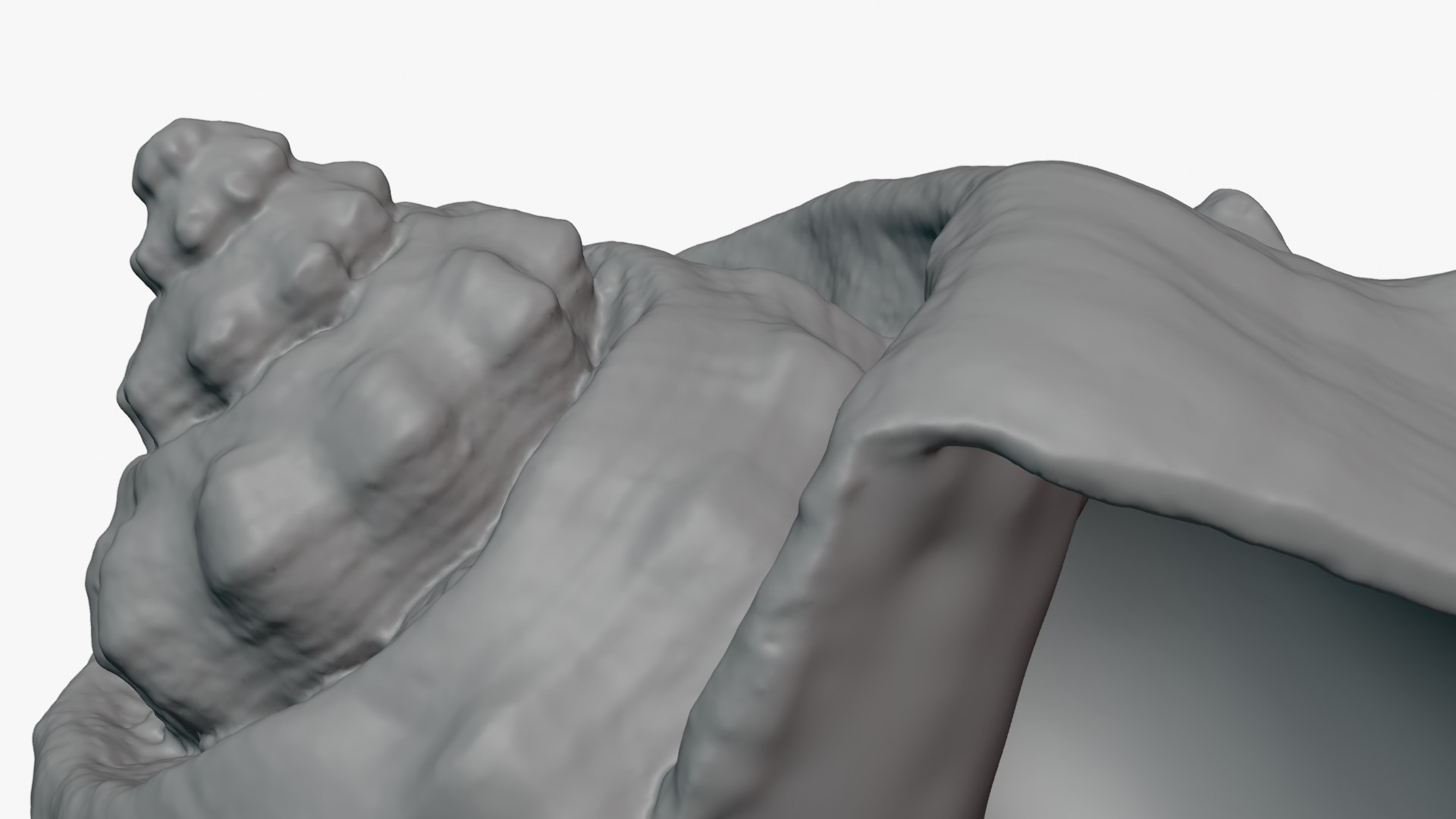 Crown Conch - For 3D Print model https://p.turbosquid.com/ts-thumb/36/pBqLWK/WV/crownconch_0011/png/1782984004/1920x1080/fit_q87/e799554bfafb888446001eefff7485ccea3792fc/crownconch_0011.jpg