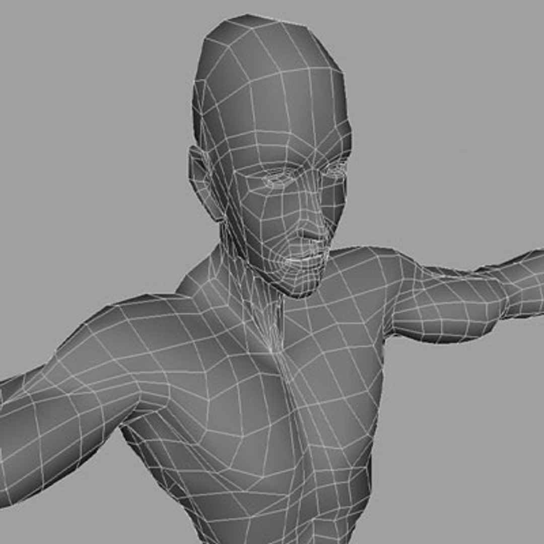 Male Man Person 3d Model