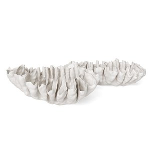 Shell Vase