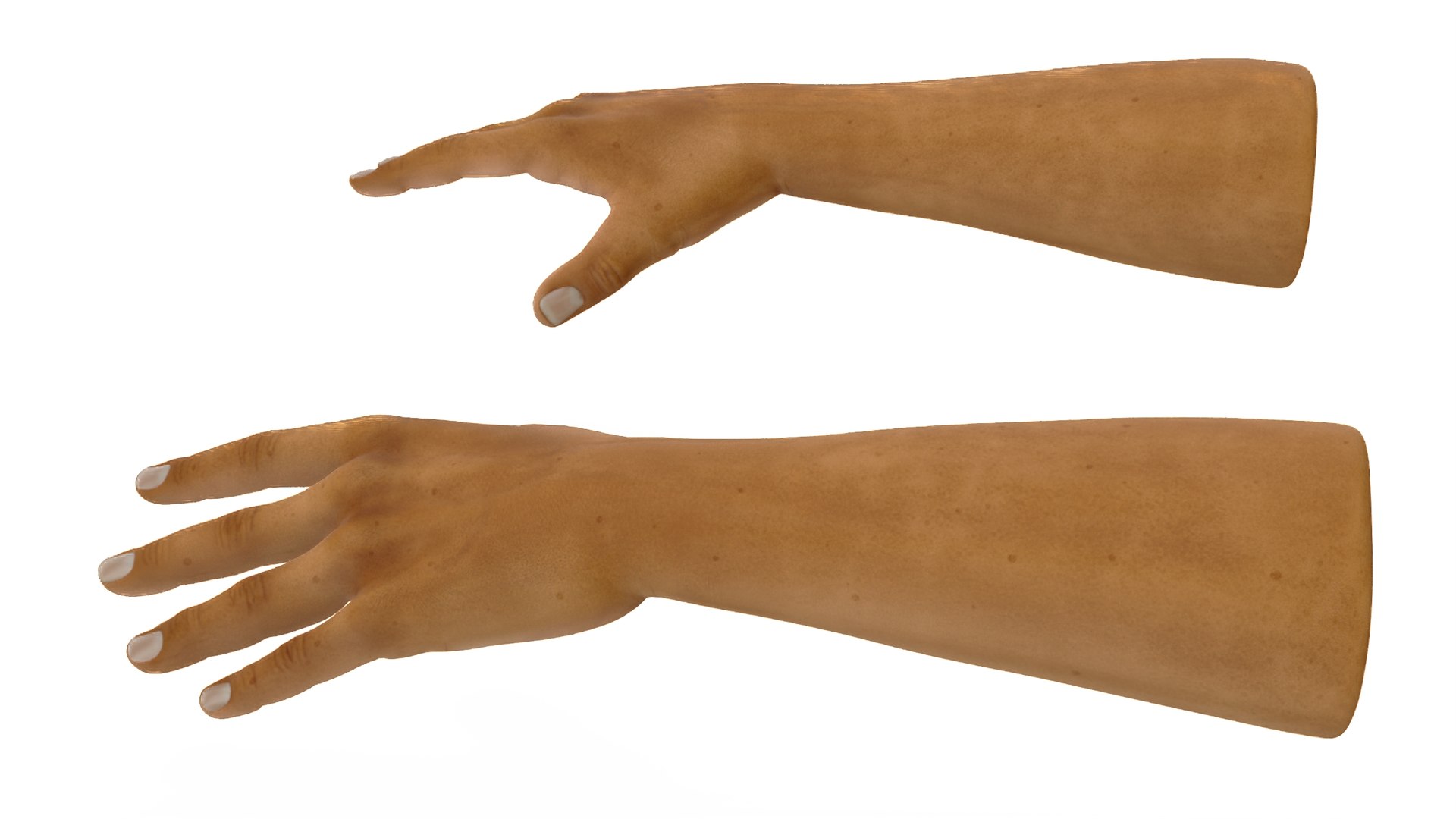 3D European Man Hands Rigged https://p.turbosquid.com/ts-thumb/37/2S15XY/4O/europeanmanhandsriggedvray3dmodel006/jpg/1704454329/1920x1080/fit_q87/fffc2a5651d249415433ad15d6fe74a25e843d64/europeanmanhandsriggedvray3dmodel006.jpg