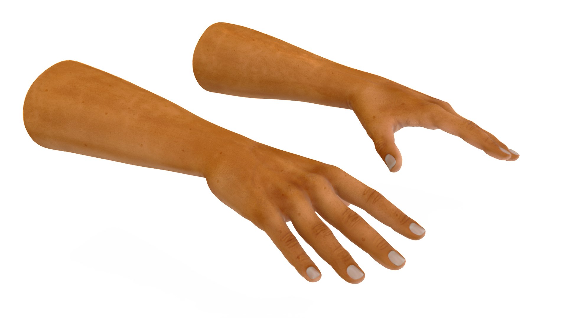 European Man Hands Rigged 3D model preview