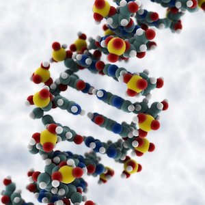 DNA molecule
