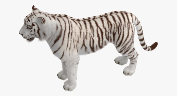 3D model white tiger rigged fur - TurboSquid 1278046