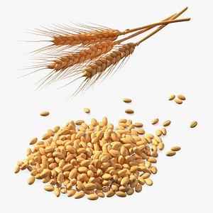 3D model wheat grain pile