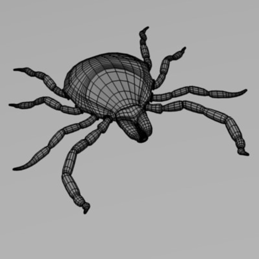 Max Tick Parasite