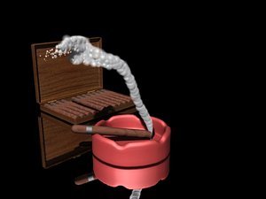 max tray ash