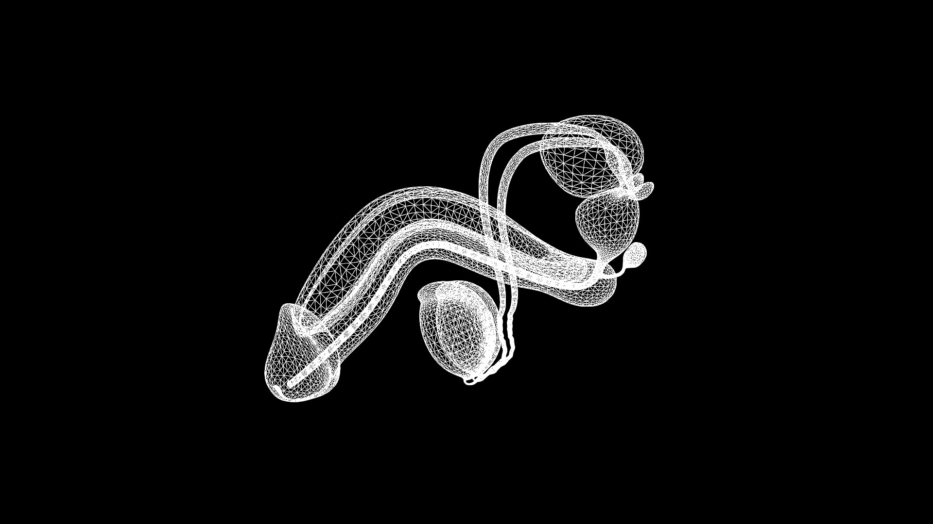 3D Penis Anatomy https://p.turbosquid.com/ts-thumb/37/Yyvo9K/ZX/wire_1/jpg/1686662780/1920x1080/fit_q87/6e42b1530a9e9d0873b1e4ce0958498742724a17/wire_1.jpg