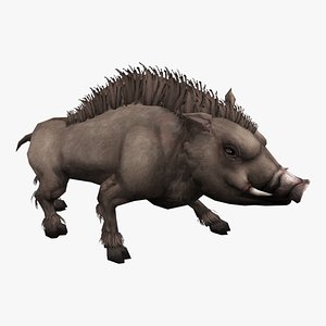3D animated boar model