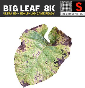 3d ultra hd 8k leaf