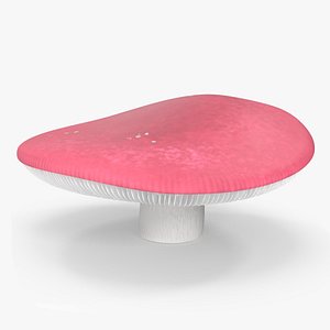 Russula