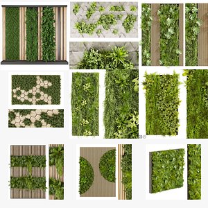 Collection plant vol 02 fitowall - ertical  - blender - 3dmax - cinema 4d