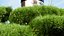 Liquidificador Grassland Skin Care