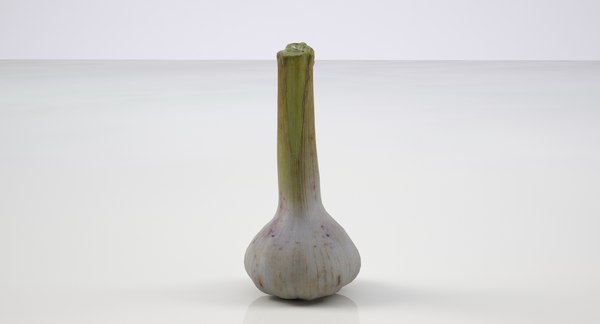 3D highres garlic tuber