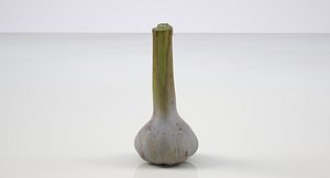 Garlic tuber No.1