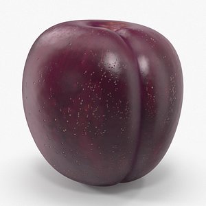 3d model of plum darker skin leaf