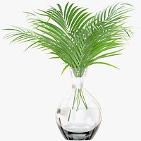 Palm Leaves