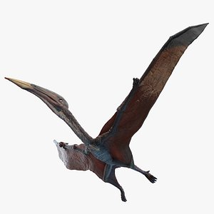 3D hatzegopteryx