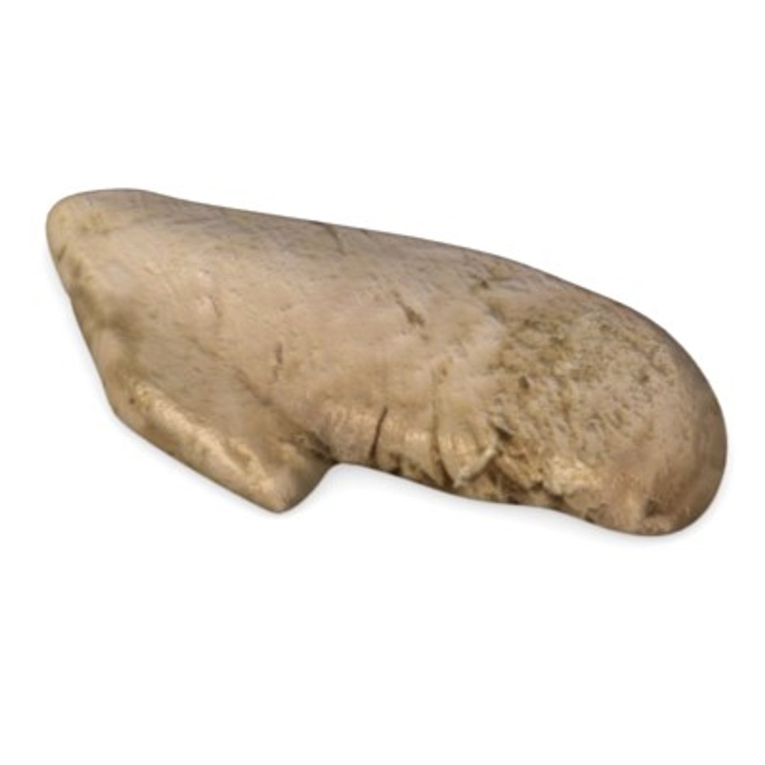 3d Model Chicken Meat