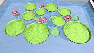 3D Grant water liles flower model
