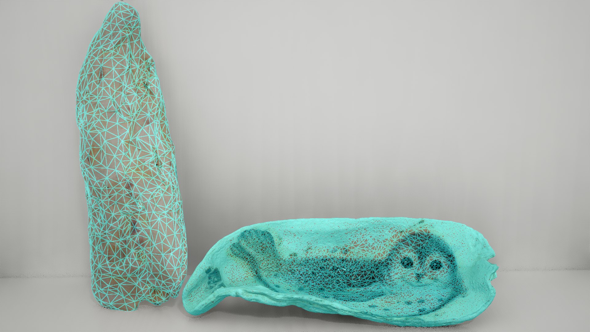 3D model Painted Shell https://p.turbosquid.com/ts-thumb/38/fHA6nK/IM/wireframe/png/1734360866/1920x1080/fit_q87/bf16b389fc2a949a7e83d01eb123c36bd18d4585/wireframe.jpg