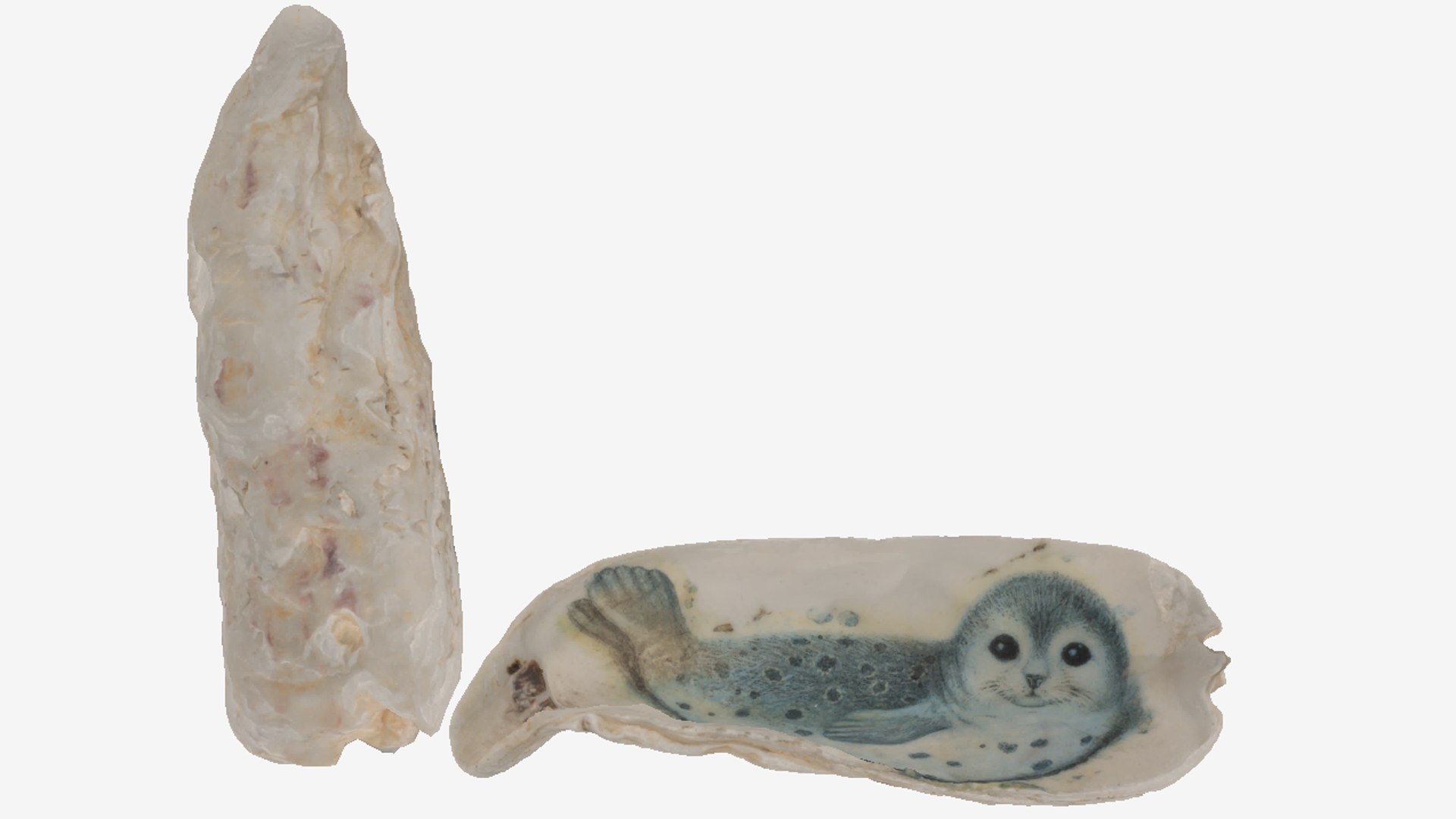 3D model Painted Shell https://p.turbosquid.com/ts-thumb/38/fHA6nK/We/unlit/png/1734360865/1920x1080/fit_q87/0092702e9ad79654e5d81c59e6c4bf68a3136e63/unlit.jpg