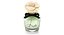 Dolce Perfume