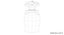 Dolce Perfume