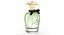 Dolce Perfume