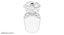 Dolce Perfume