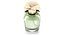 Dolce Perfume