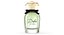 Dolce Perfume