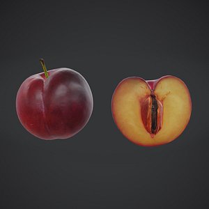 Fruit Plumcot Low Poly model