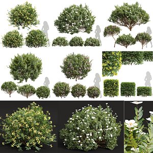 3D 6 Different SETS of Bush Set Vol 21 model