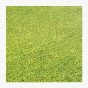 Seamless Green Field Area PBR Material - 16K