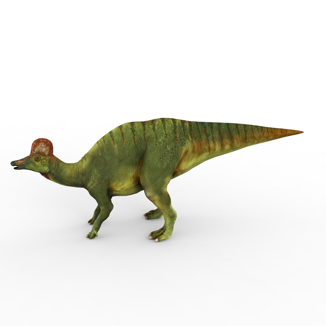 3d hadrosaurus https://p.turbosquid.com/ts-thumb/39/2qGWAu/9D7v2hpC/hadrosaurus/jpg/1408081526/1920x1080/turn_fit_q99/331272bc03ef0b7e6dc8a55e63d8b3849f55e672/hadrosaurus-1.jpg
