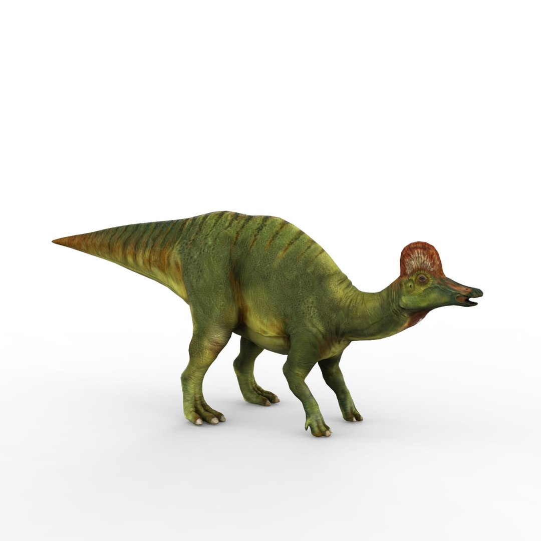 3d hadrosaurus https://p.turbosquid.com/ts-thumb/39/2qGWAu/uZ3YCjfE/hadrosaurus_base09/jpg/1408081329/1920x1080/fit_q87/fd459187f2a22e9525ec529e636f1baa2a8d2403/hadrosaurus_base09.jpg