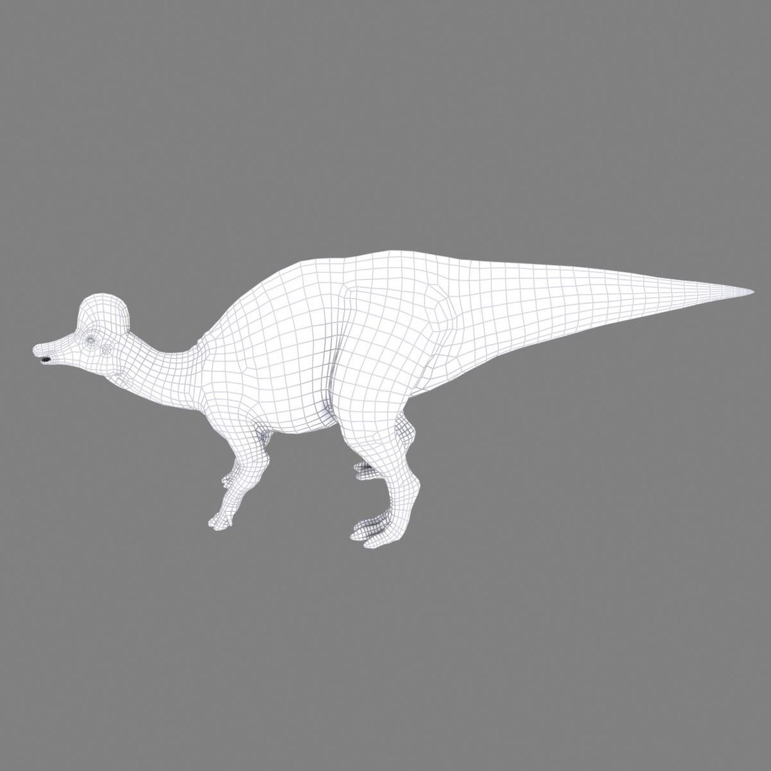 3d hadrosaurus https://p.turbosquid.com/ts-thumb/39/2qGWAu/z6QFiCXL/hadrosaurus_wire02/jpg/1408081388/1920x1080/fit_q87/e29e26b713c1314f10110ba101aaedde3db3f9ab/hadrosaurus_wire02.jpg