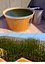 Rooftop Garden