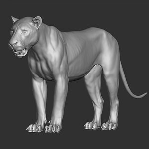 lion highpoly 3D model