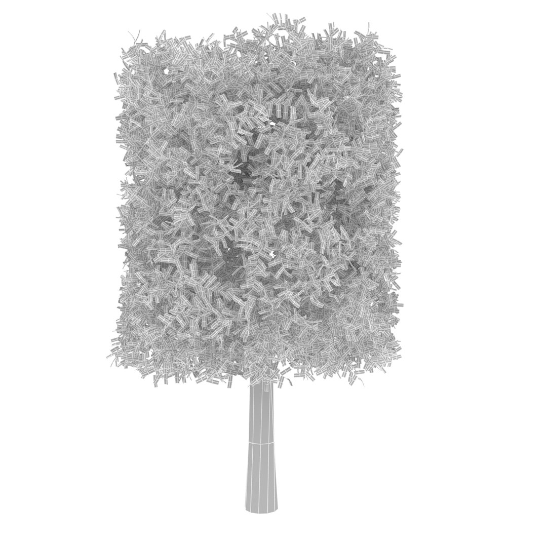 Tree Max