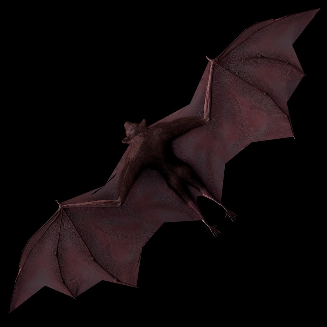 flying fox 3d model https://p.turbosquid.com/ts-thumb/39/Wl7aeW/Hk9HU29L/flyingfoxtsgfcm01b/jpg/1321016250/1920x1080/fit_q87/56027f2259bd2ef823746827578b89eefb91c302/flyingfoxtsgfcm01b.jpg