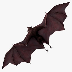 Flying Fox